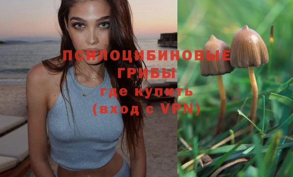 мдпв Абинск