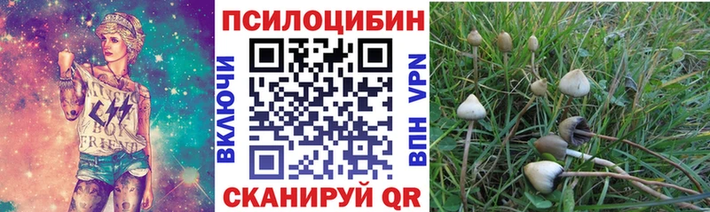 Псилоцибиновые грибы Magic Shrooms  Мурино 